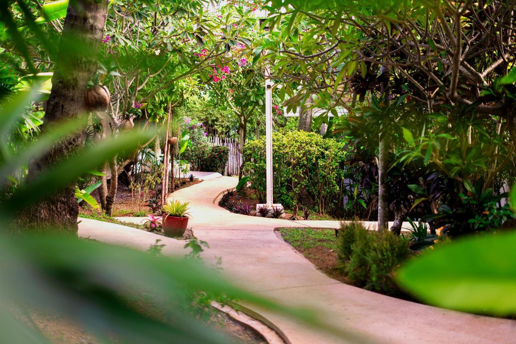 Orchid Lodge Samui - Bed & Breakfast Lamai Beach  Exterior photo